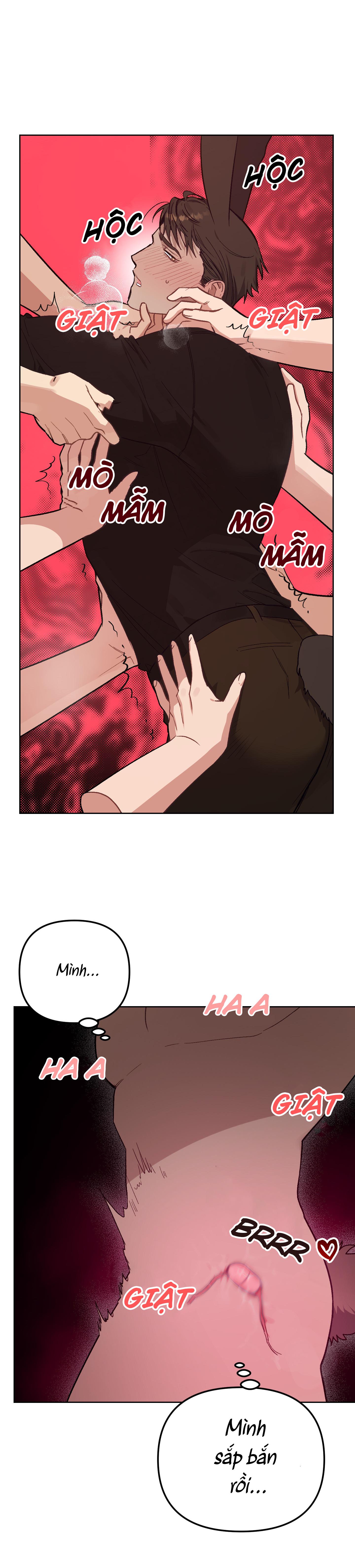 Đọc truyện THỎ NHỎ XUẤT TINH TRONG 3 GIÂY (END) - Chapter 10