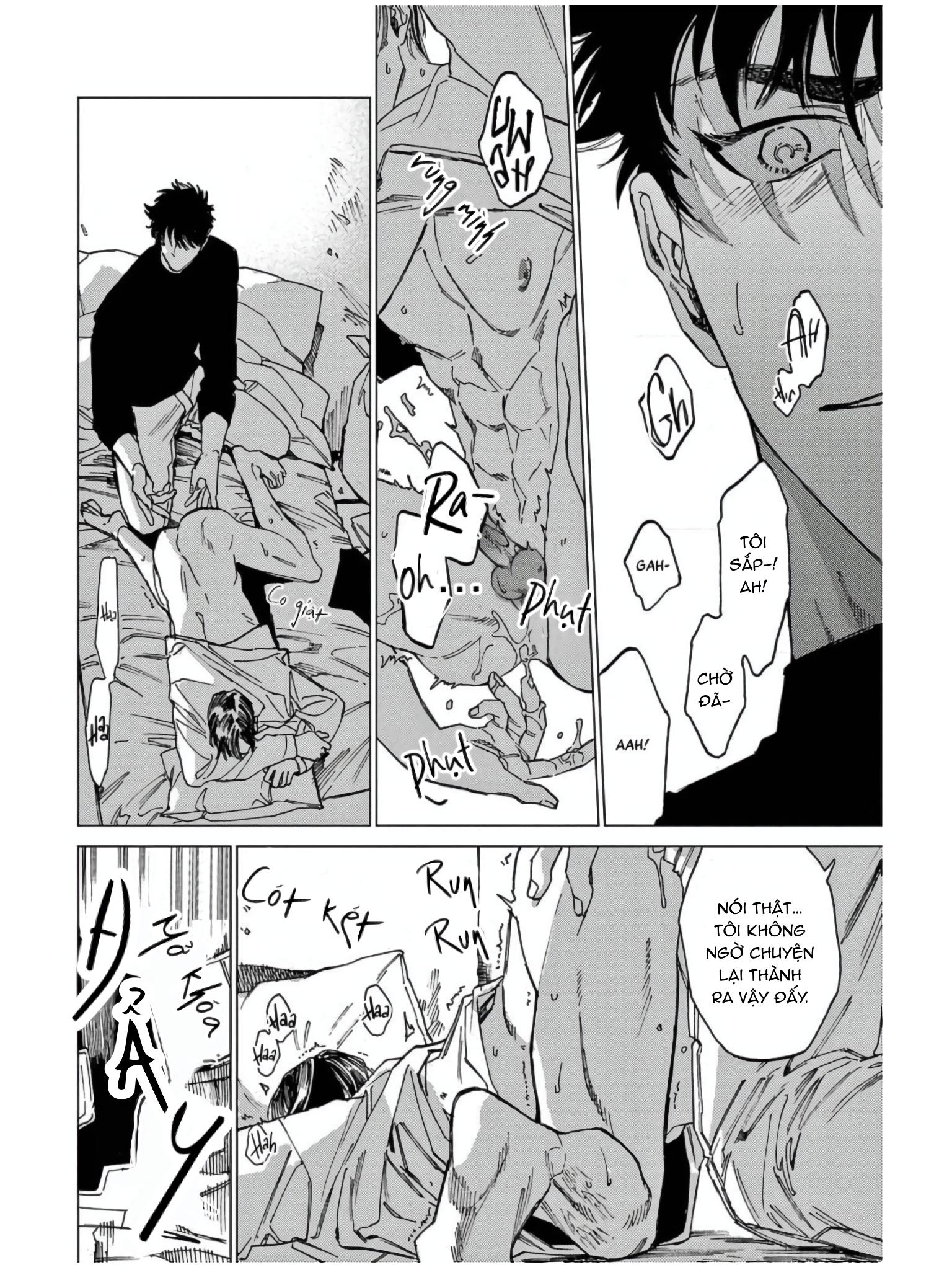 Đọc truyện Đấu giá Hikari TOKYO - Chapter 6