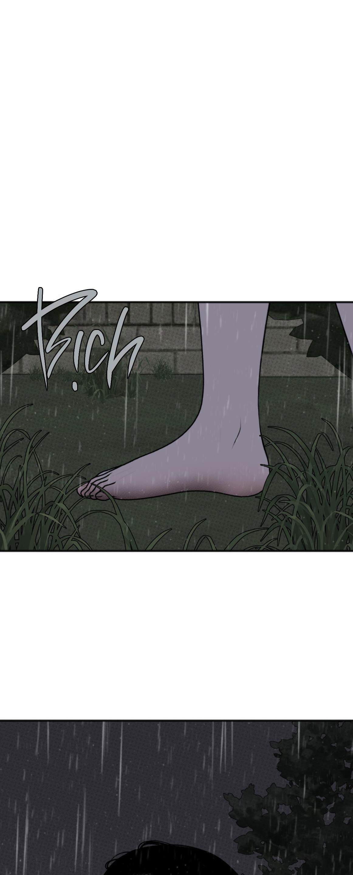 Đọc truyện DỰ BÁO MƯA RÀO - Chapter 5