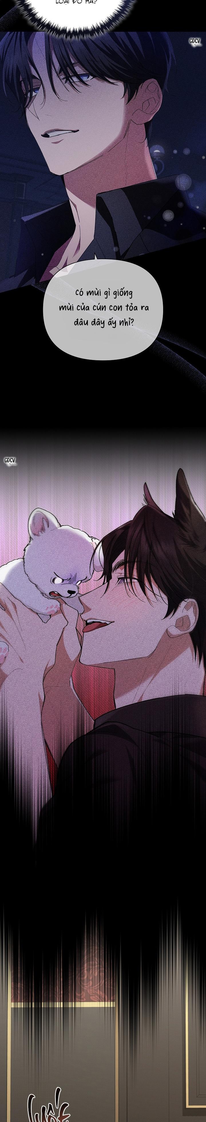 Đọc truyện ĐỪNG CHẠM VÀO CÚN CON CỦA TÔI - Chapter 2