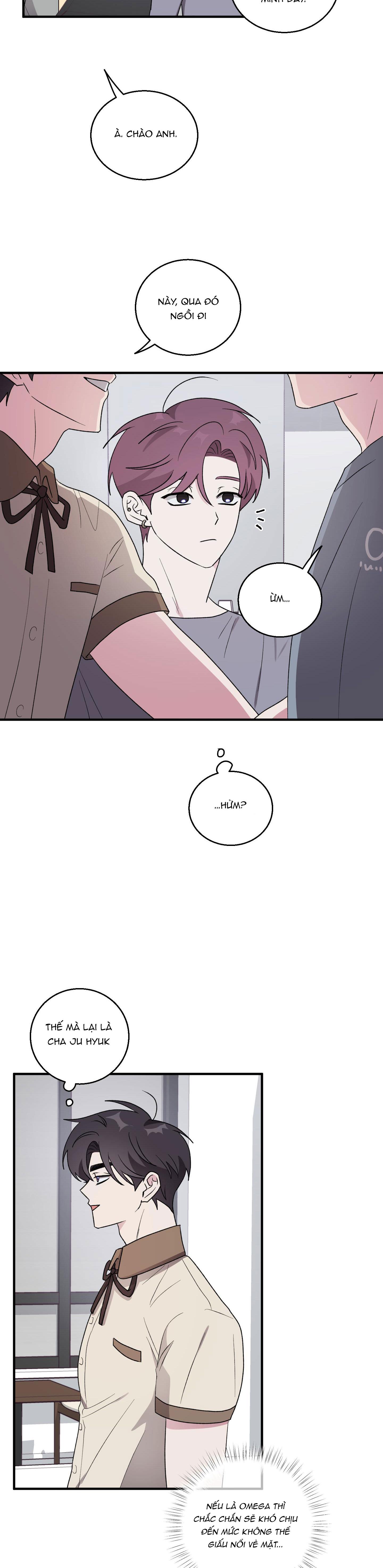 Đọc truyện CHUYỆN TÌNH ALPHA - Chapter 24