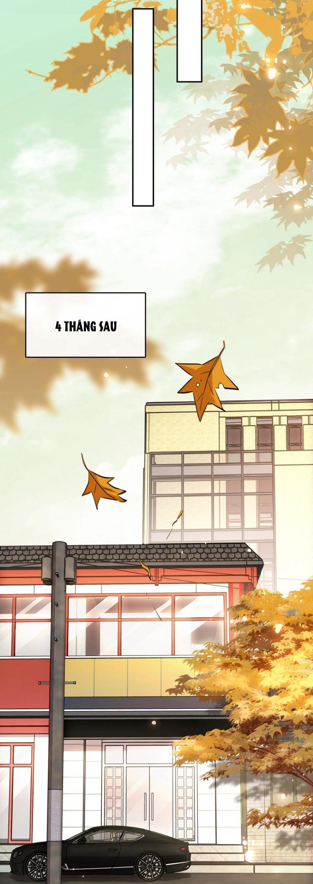 Đọc truyện Không Làm Trai Bao! - Chapter 155