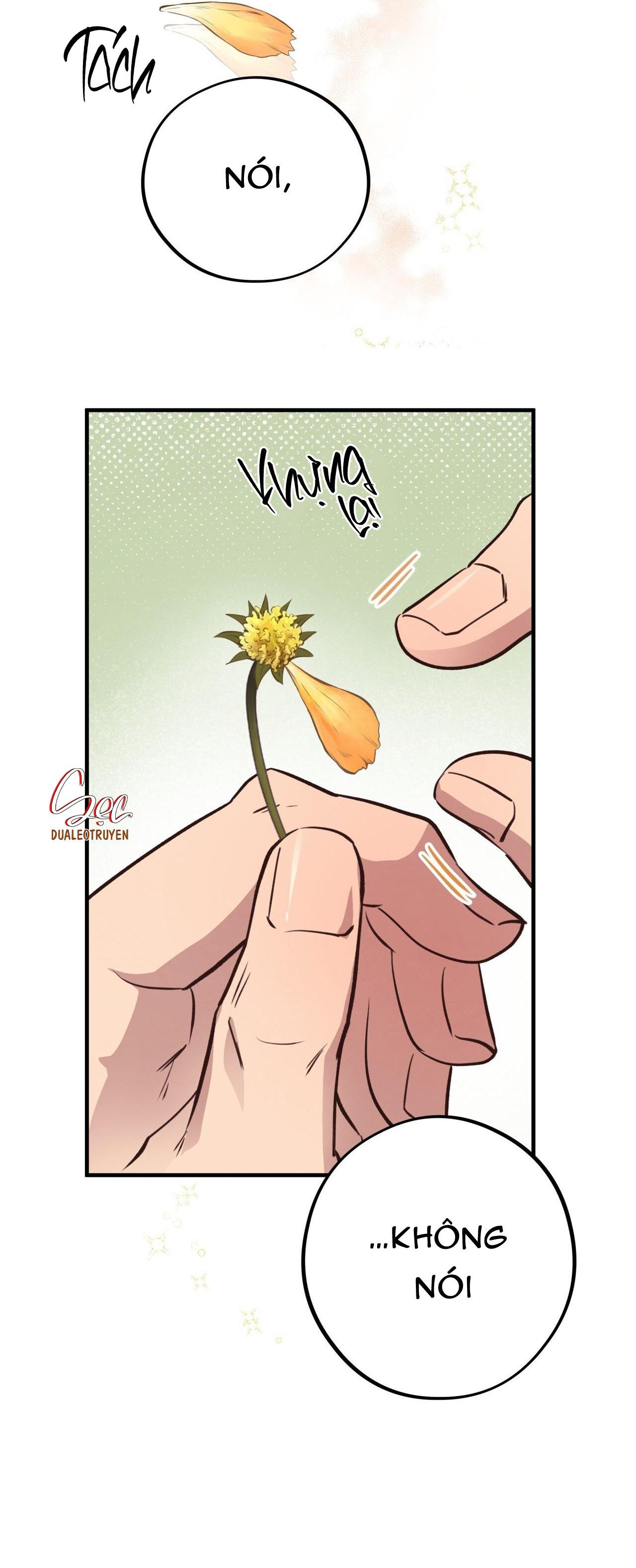 Đọc truyện HONEY BEAR - Chapter 31