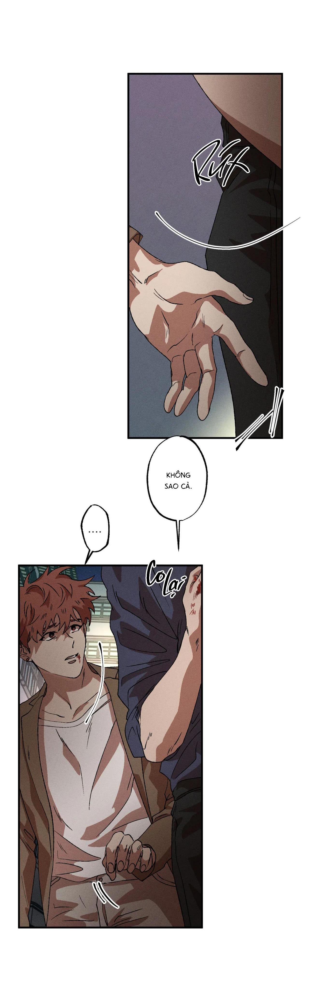 Đọc truyện  Bẫy Đôi Ngọt Ngào - Chapter 56