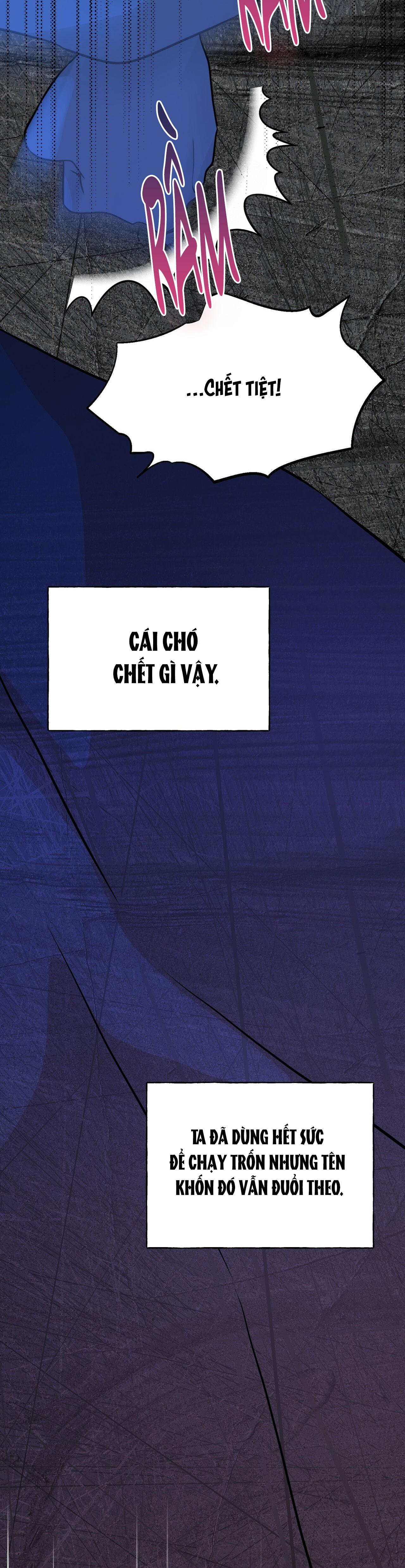 Đọc truyện (ABO) ĐÁM CƯỚI HOÀNG GIA - Chapter 27
