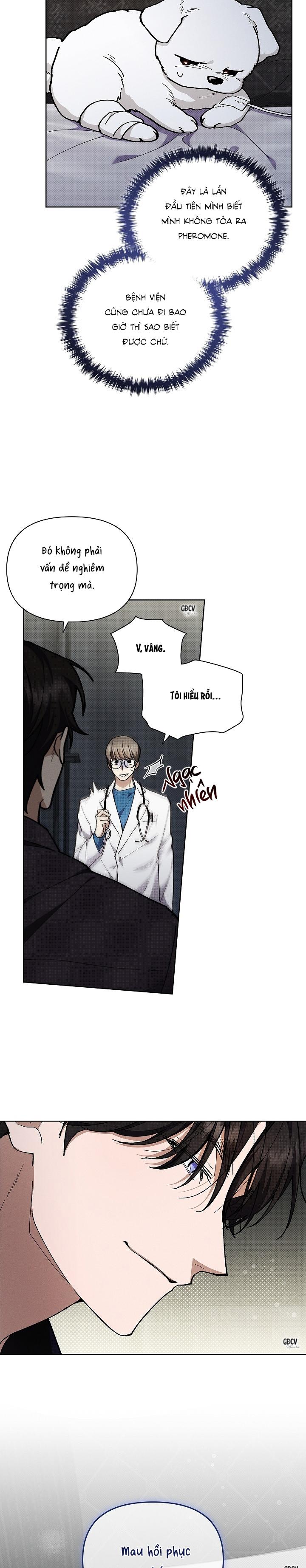 Đọc truyện ĐỪNG CHẠM VÀO CÚN CON CỦA TÔI - Chapter 4