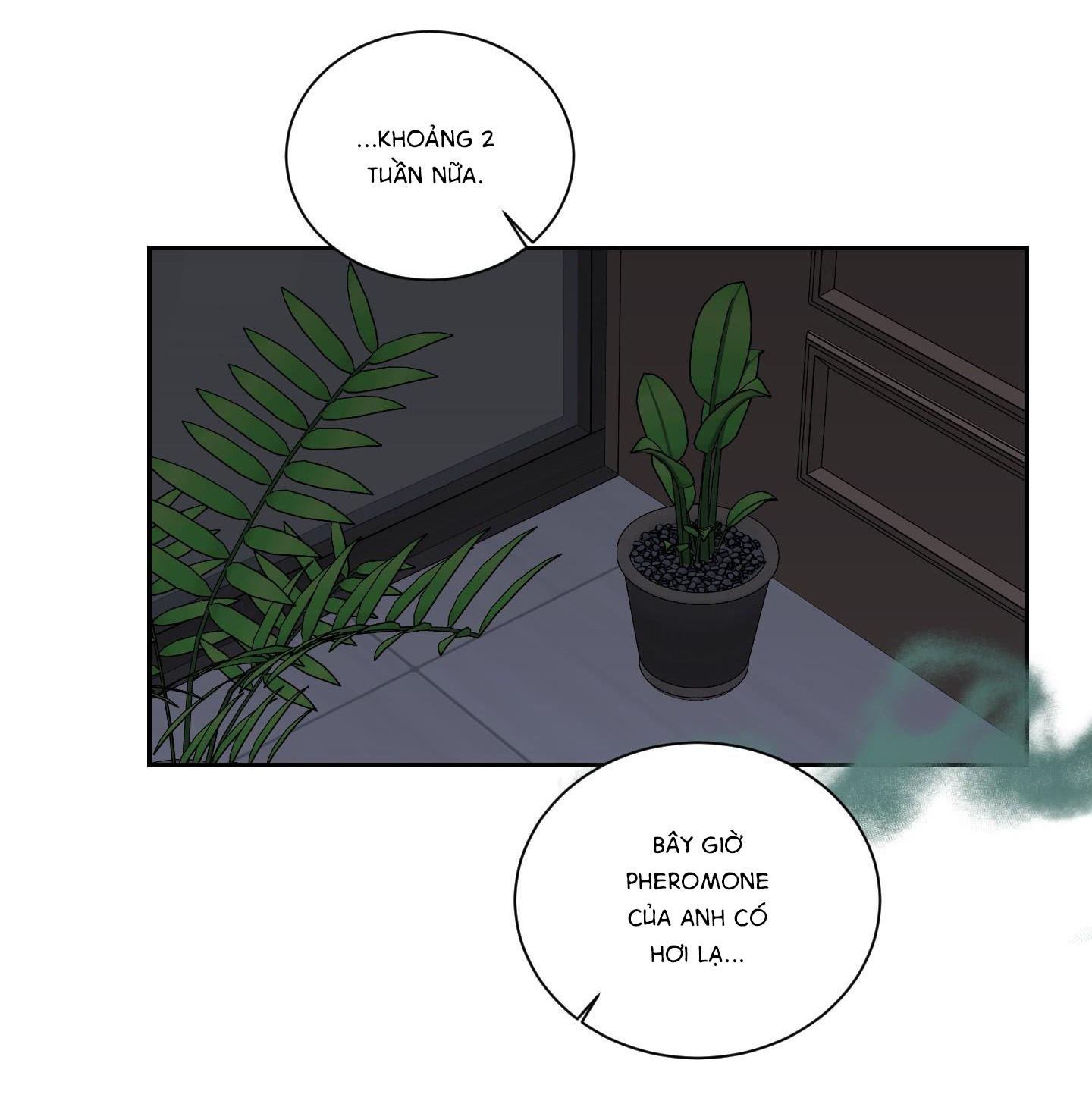 Đọc truyện  Điểm dừng chân cuối cùng - Chapter 60
