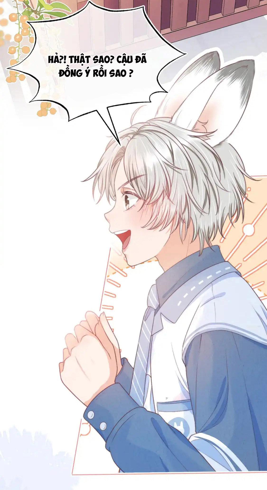 Đọc truyện Ss2 Một ngụm ăn cả thỏ con - Chapter 41
