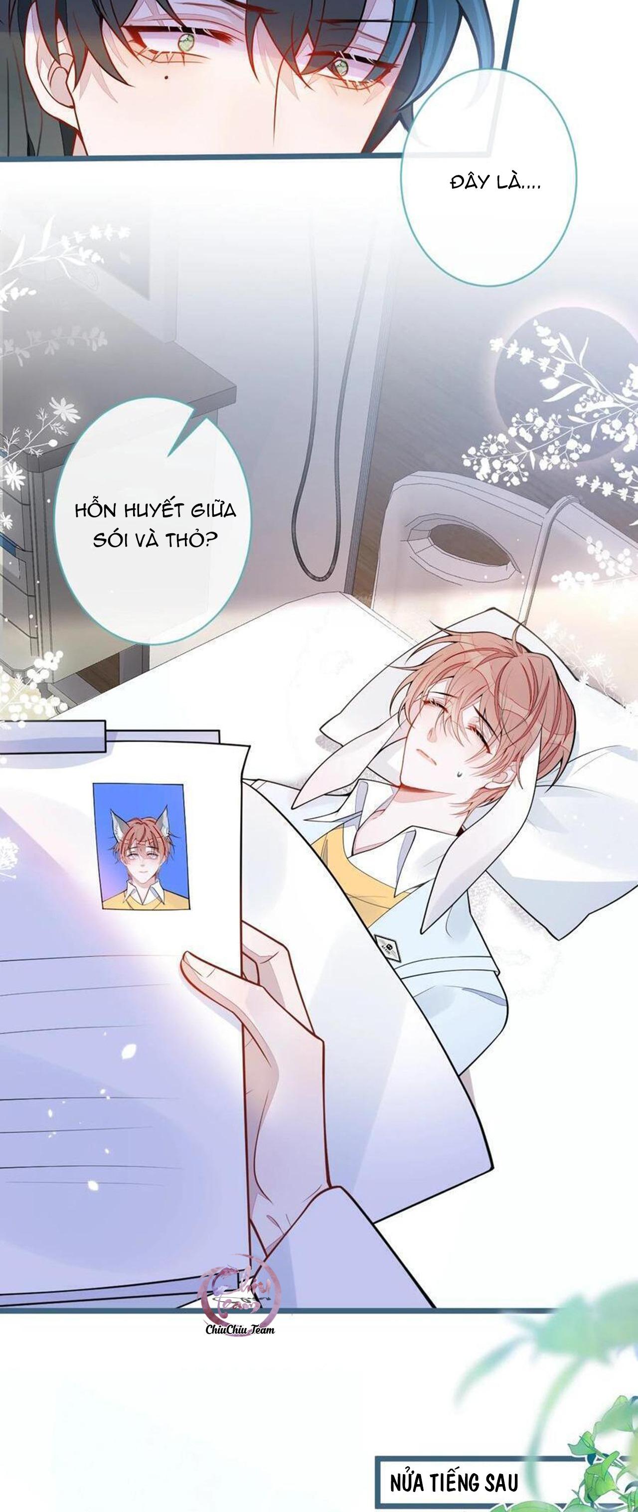 Đọc truyện Sói Báo Ơn (END) - Chapter 52