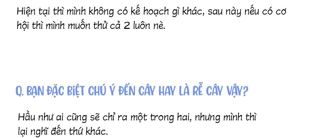 Đọc truyện  Cây Không Có Rễ - Chapter 51.1