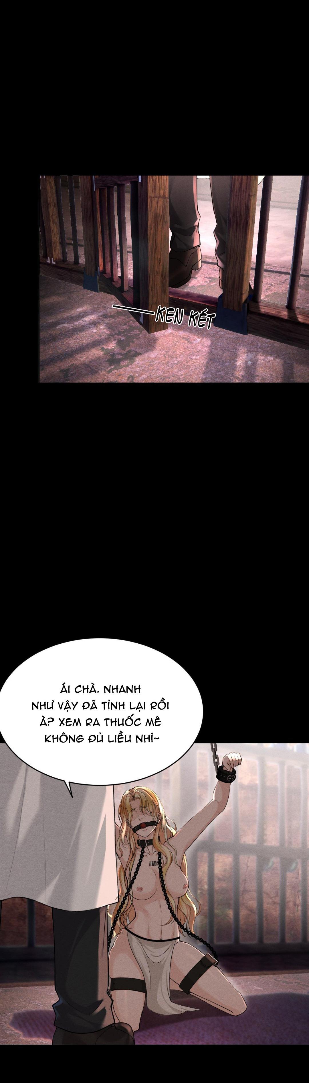 Đọc truyện Lông Vũ Ngược Sáng - Chapter 15