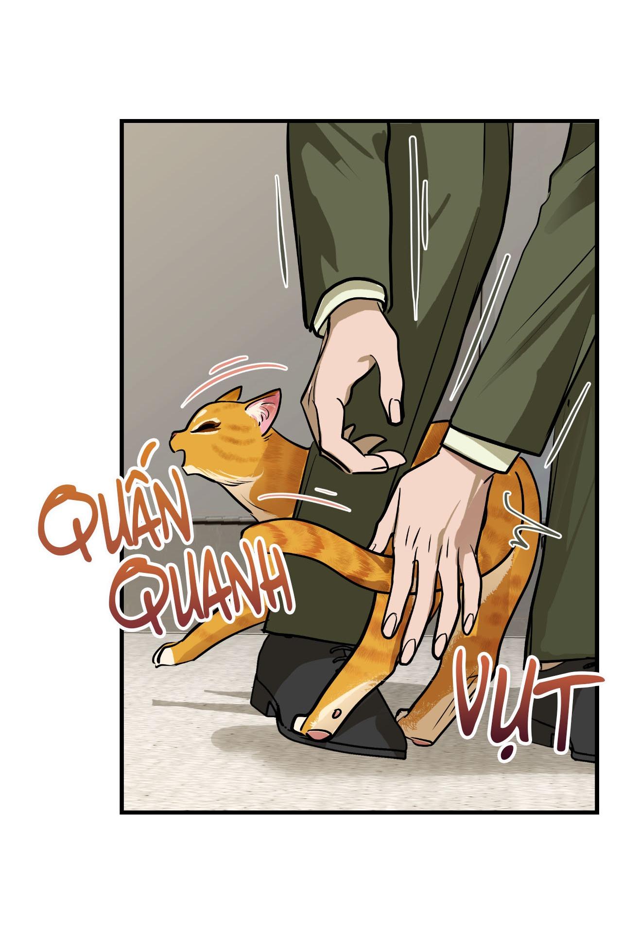 Đọc truyện Người Trong Gương (Drop) - Chapter 13