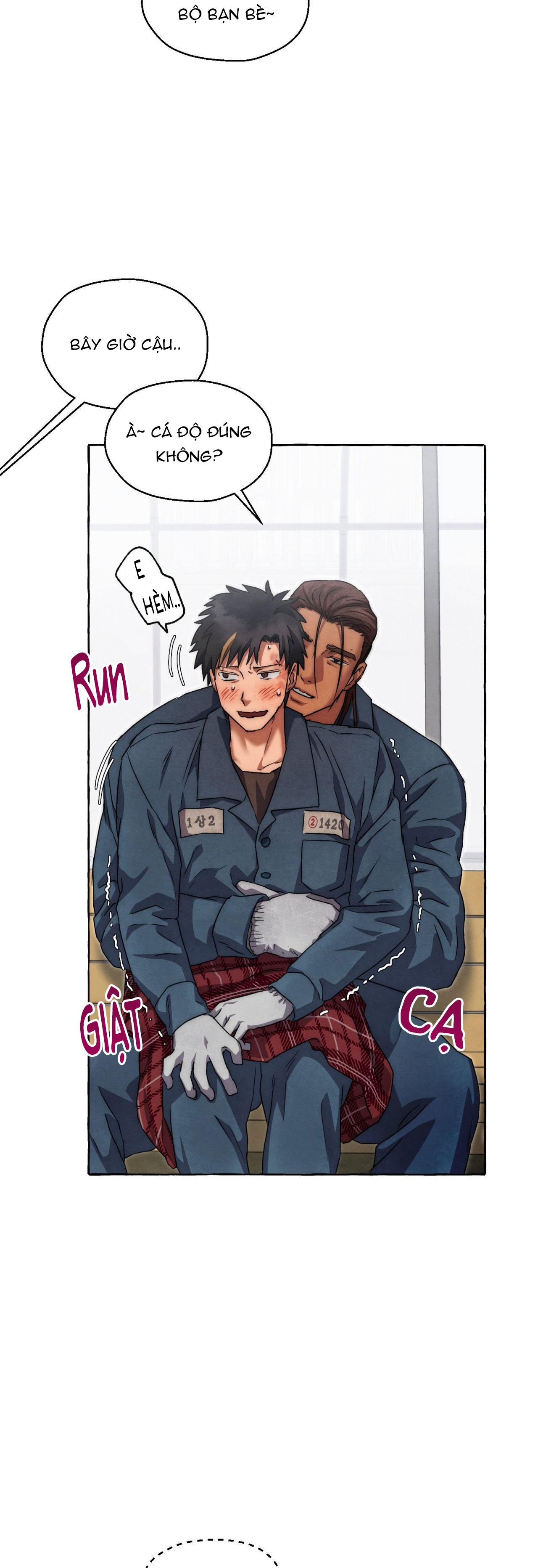 Đọc truyện NHỮNG CON CHÓ TRONG TÙ - Chapter 41