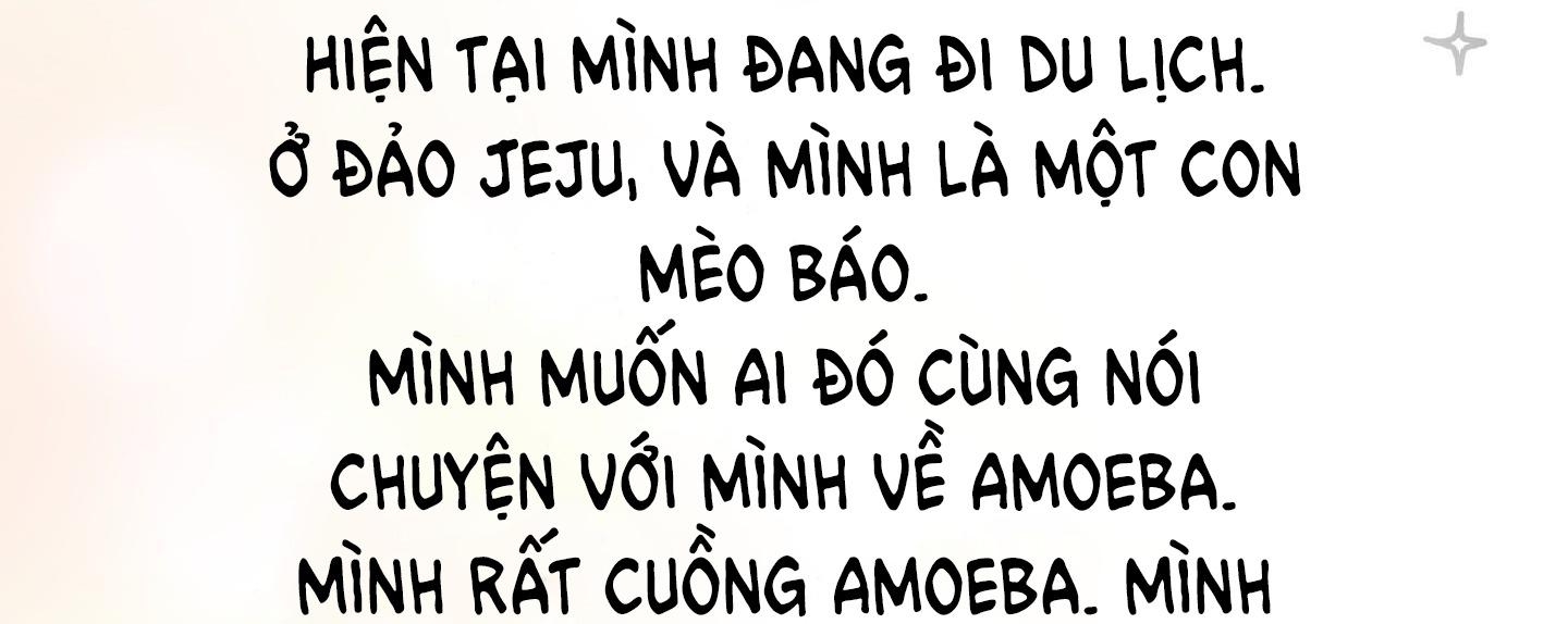 Đọc truyện Bé Thỏ xuất tinh trong 3s - Chapter 1