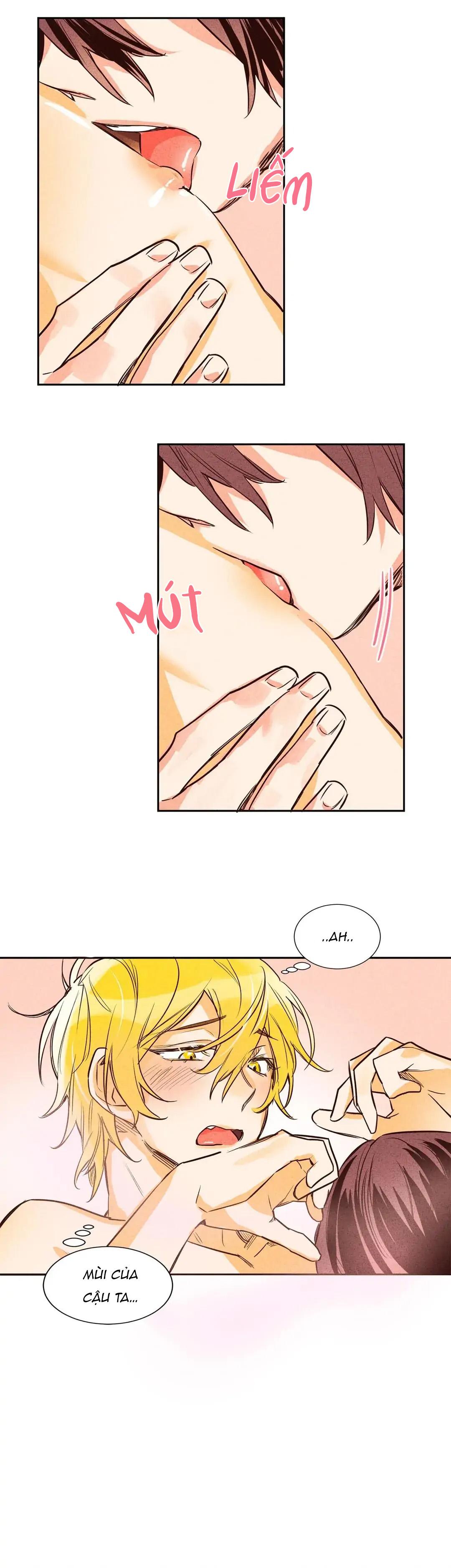 Đọc truyện Chìm Trong Pheromone - Chapter 8