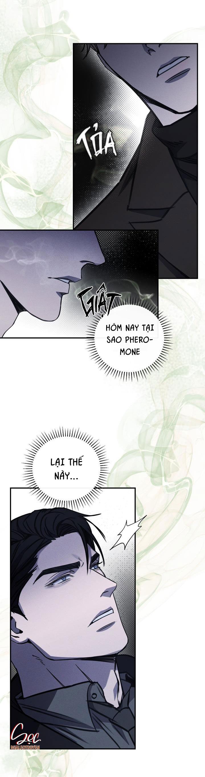 Đọc truyện (ABO) The First Commandment - Chapter 5