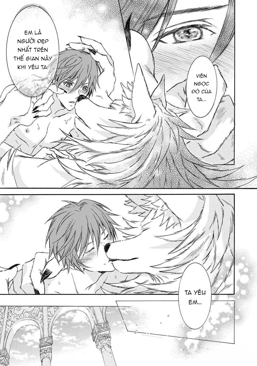 Đọc truyện Quái thú không thể tách rời - Chapter 14