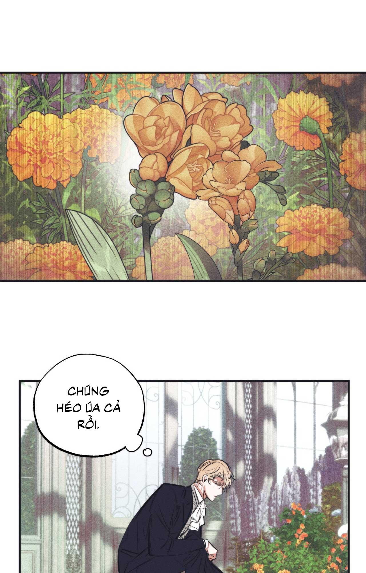Đọc truyện KHU VƯỜN CỦA ESTHER - Chapter 4