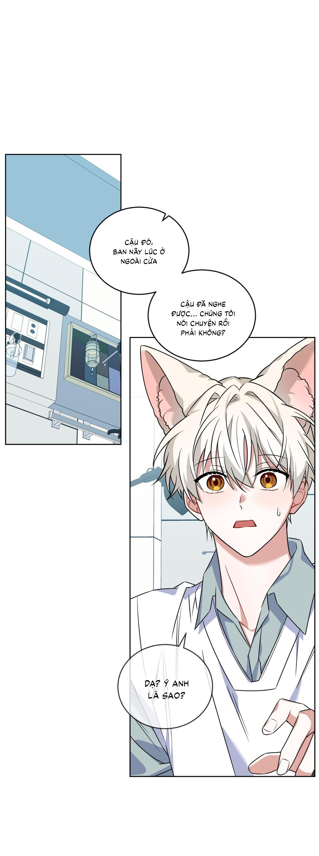 Đọc truyện |DROP| Tiệm đồ uống của cáo Flynn - Chapter 17