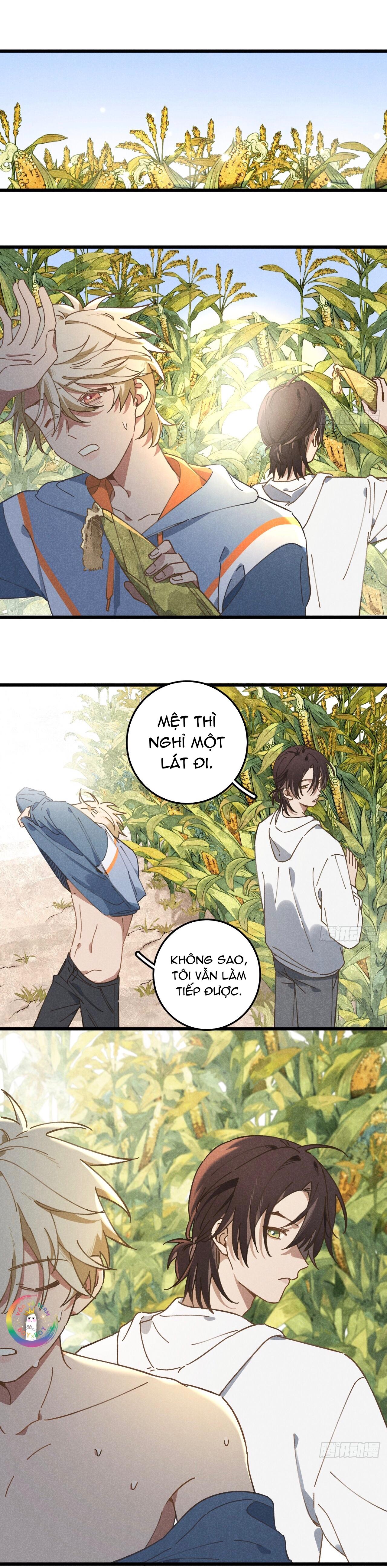 Đọc truyện Tui Không Về Làm Ruộng Với Anh Đâu! [DROP] - Chapter 19