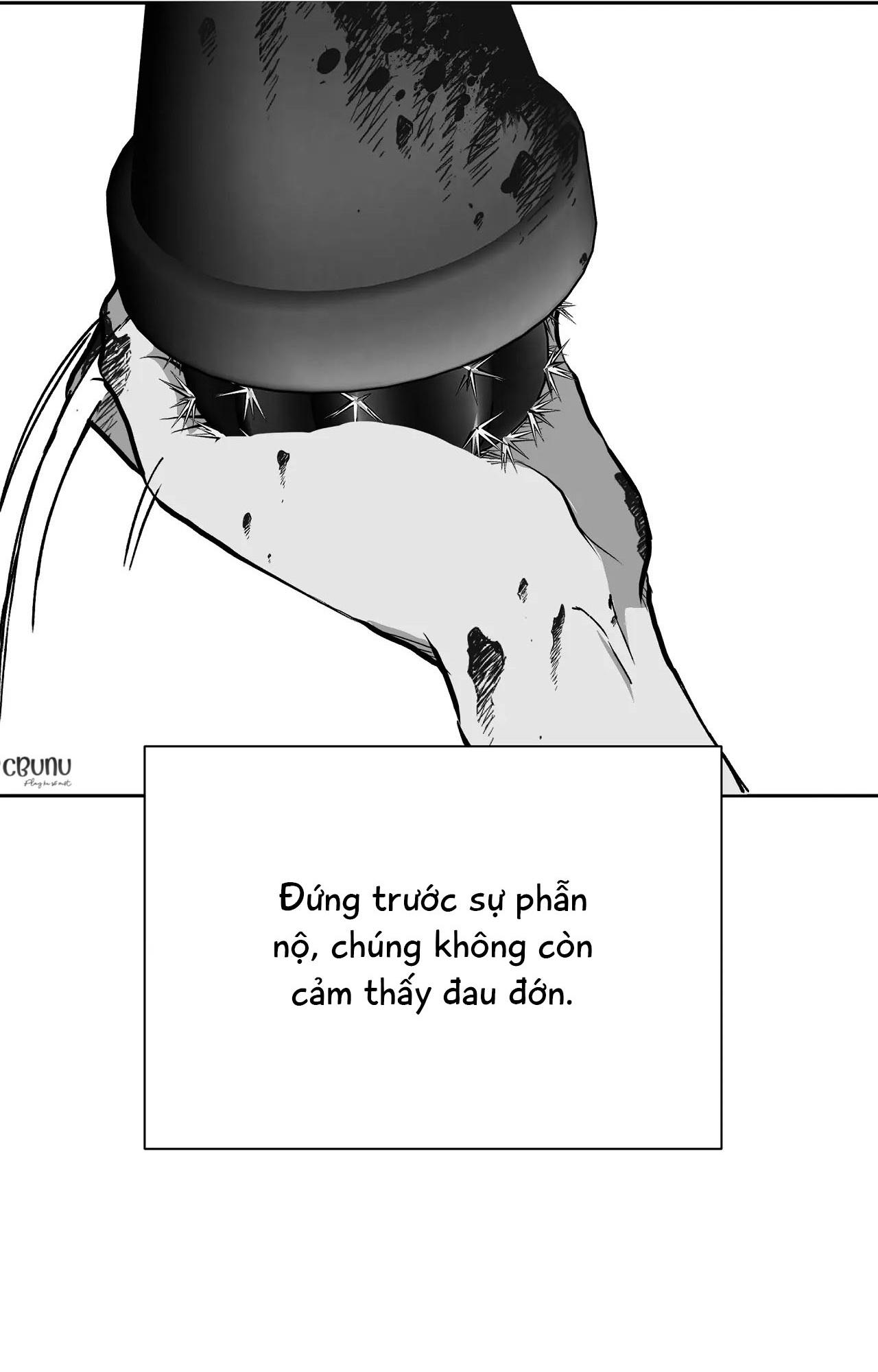 Đọc truyện Nuốt gai - Chapter 28