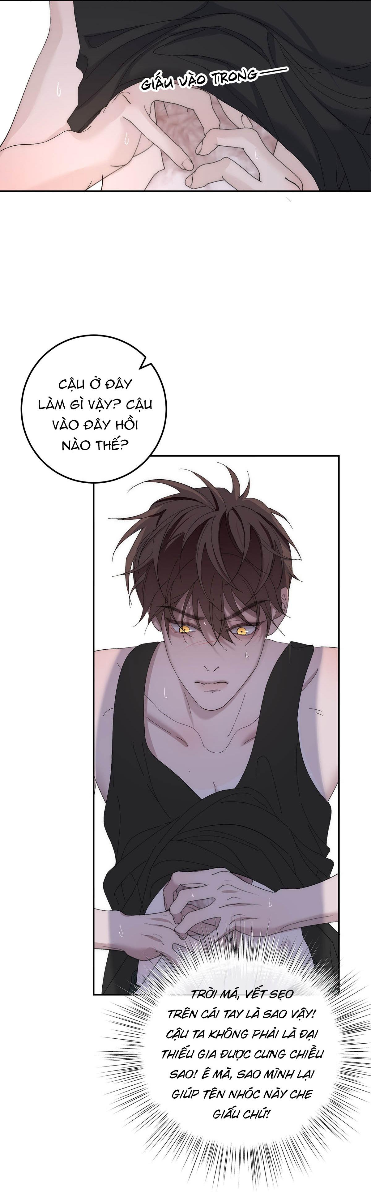 Đọc truyện Mỗi Ngày Đều Muốn Làm Hoàng Tử Ốm Yếu Đội Quần - Chapter 8