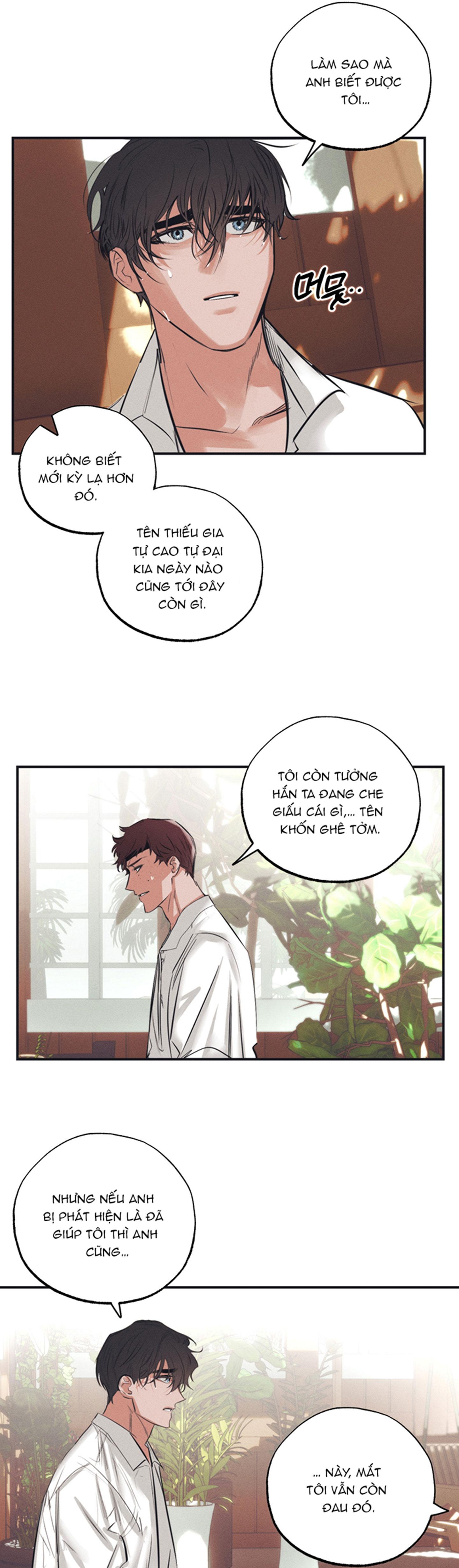 Đọc truyện VƯỜN HOA CỦA ESTHER - Chapter 4