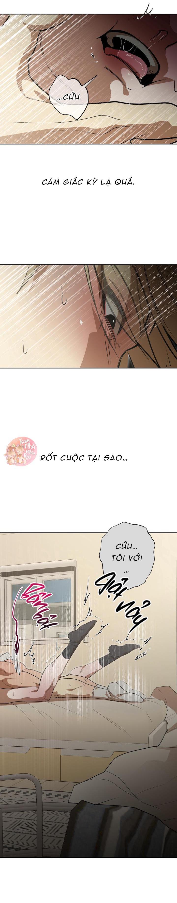 Đọc truyện Ăn Sạch Bố Ngỗng Nhà Bên - Chapter 7