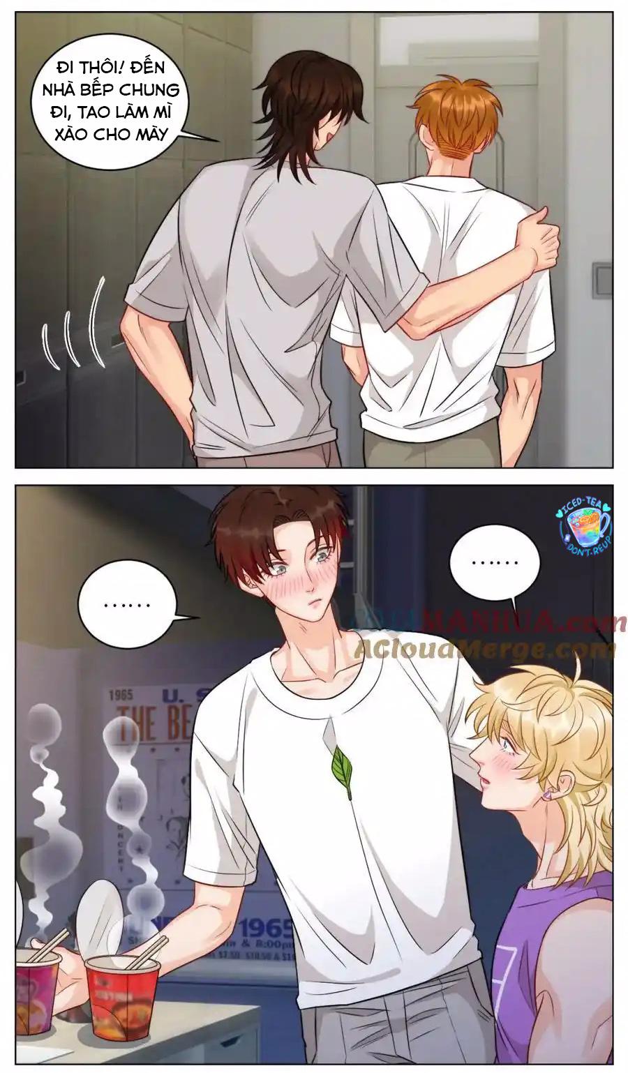 Đọc truyện Ký túc xá nam phòng 303 - Chapter 231