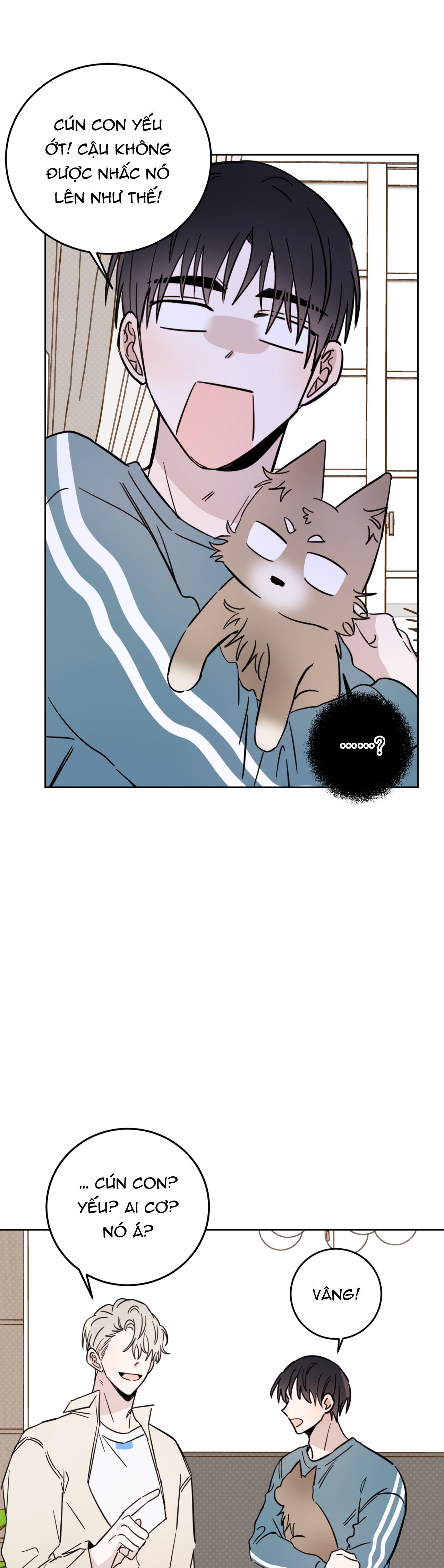 Đọc truyện Ác ma giữa ngã tư đường - Chapter 19