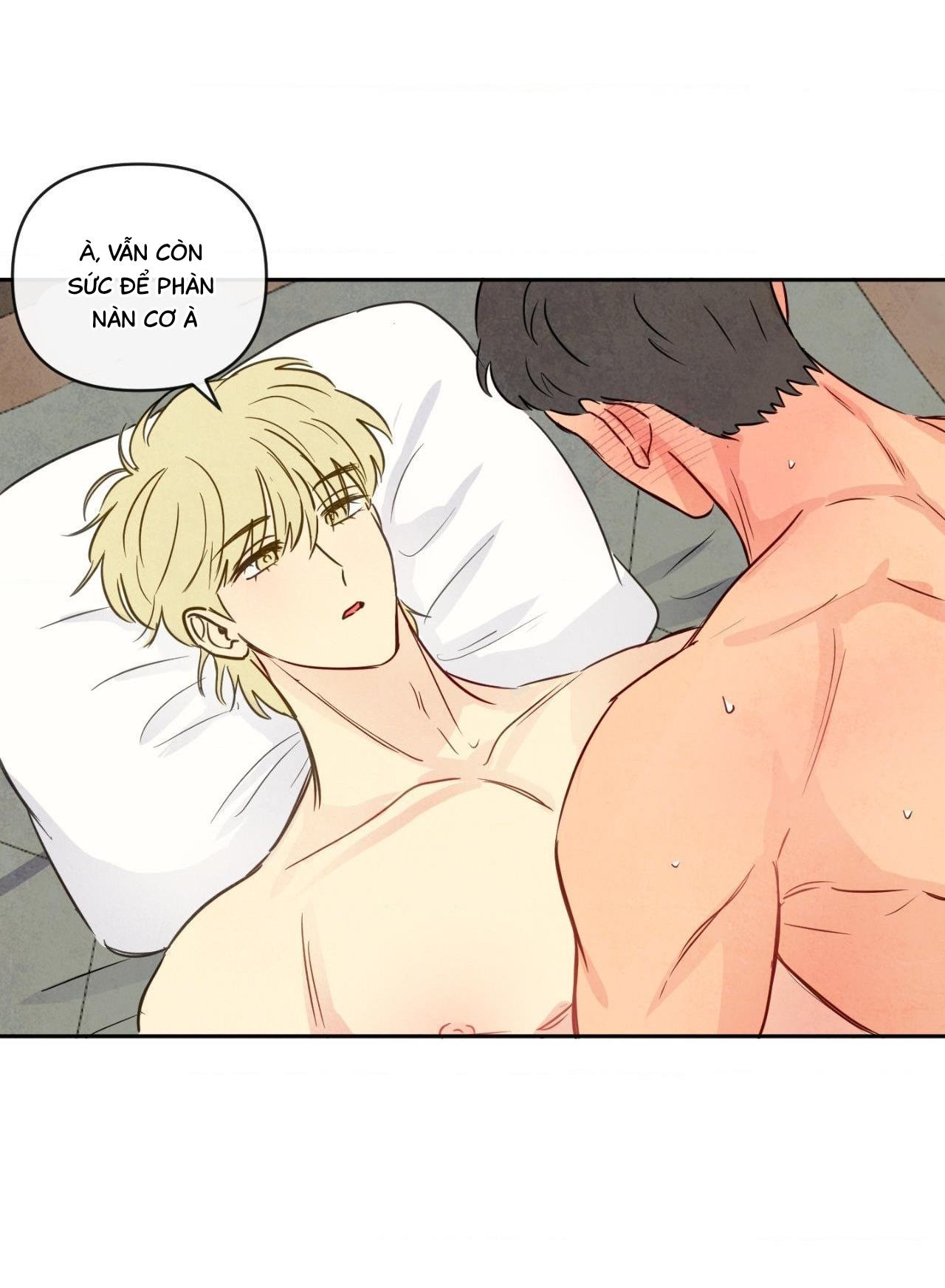 Đọc truyện Sự quyến rũ của Thần Rắn - Chapter 12