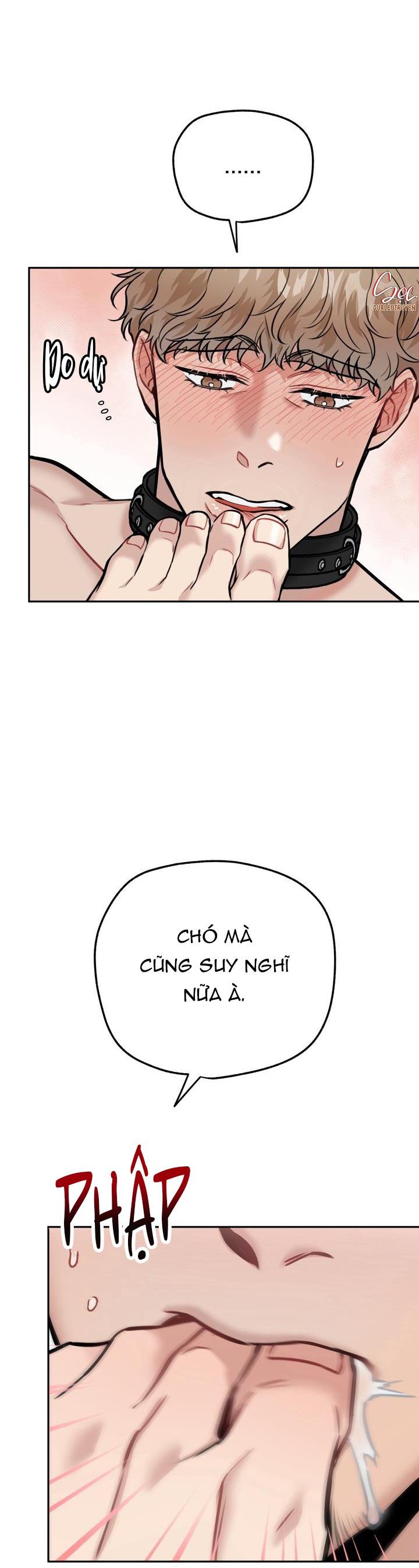 Đọc truyện HƯỚNG DẪN BDSM CƠ BẢN - Chapter 13