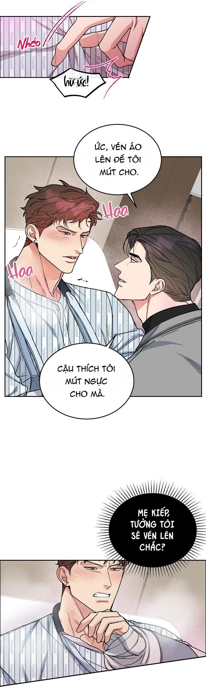 Đọc truyện CHÓ VÀ CHIM - Chapter 16