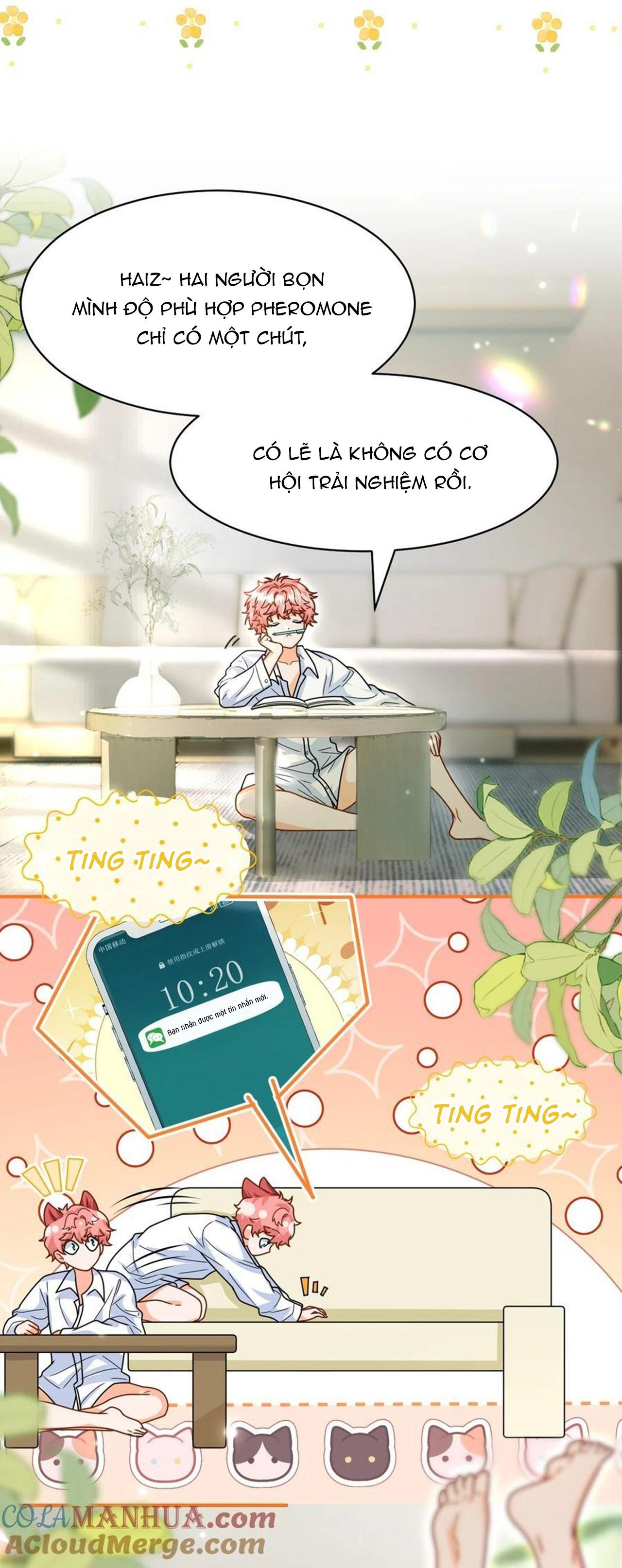 Đọc truyện Tin Tức Tố Nói Chúng Ta Không Có Khả Năng - Chapter 91