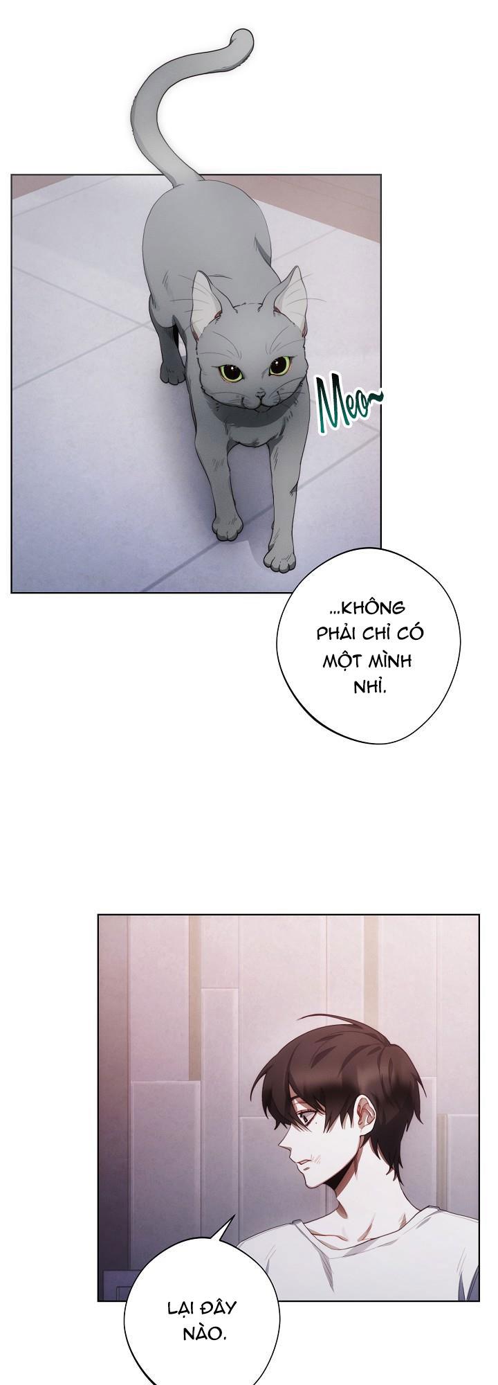Đọc truyện RED MANSION - Chapter 4