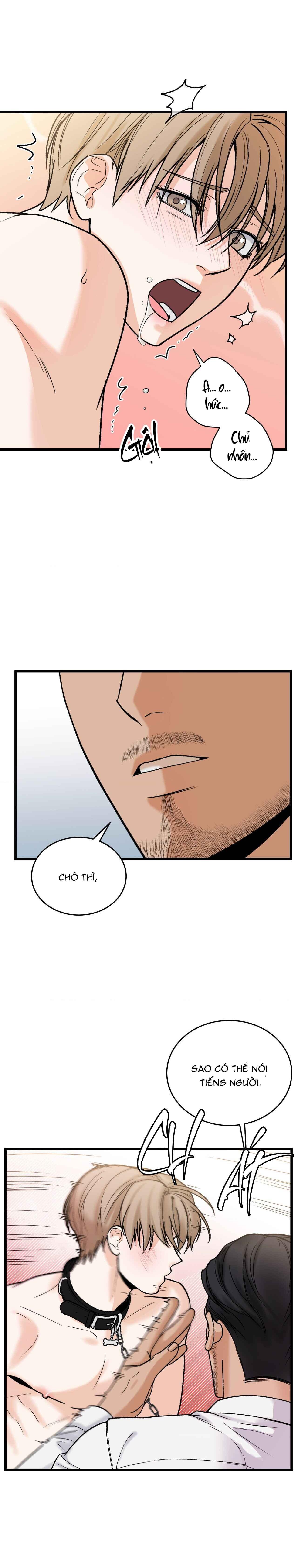 Đọc truyện CHỦ NHÂN BẠO DÂM CỦA TÔI - Chapter 15