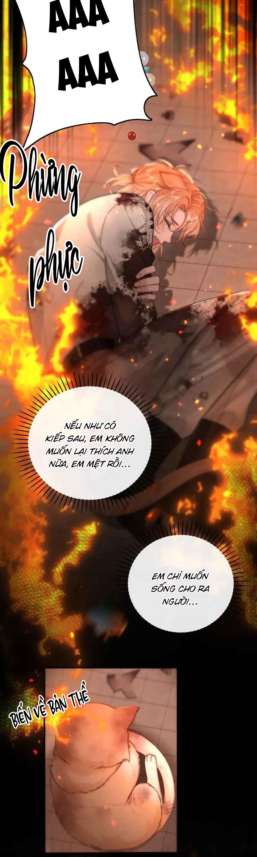 Đọc truyện Nuông Chiều Sinh Hư - Chapter 5