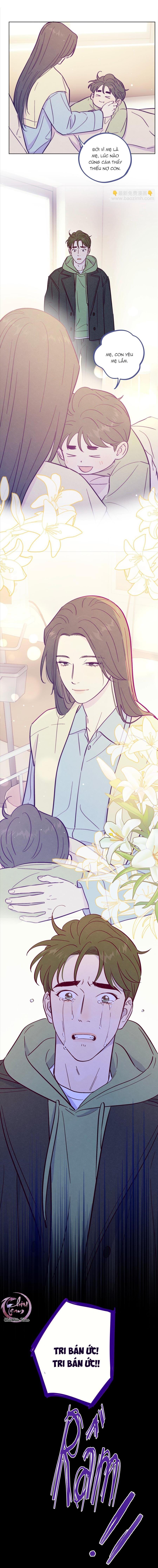 Đọc truyện Giăng Bẫy Bác Sĩ Hồ Ly - Chapter 116