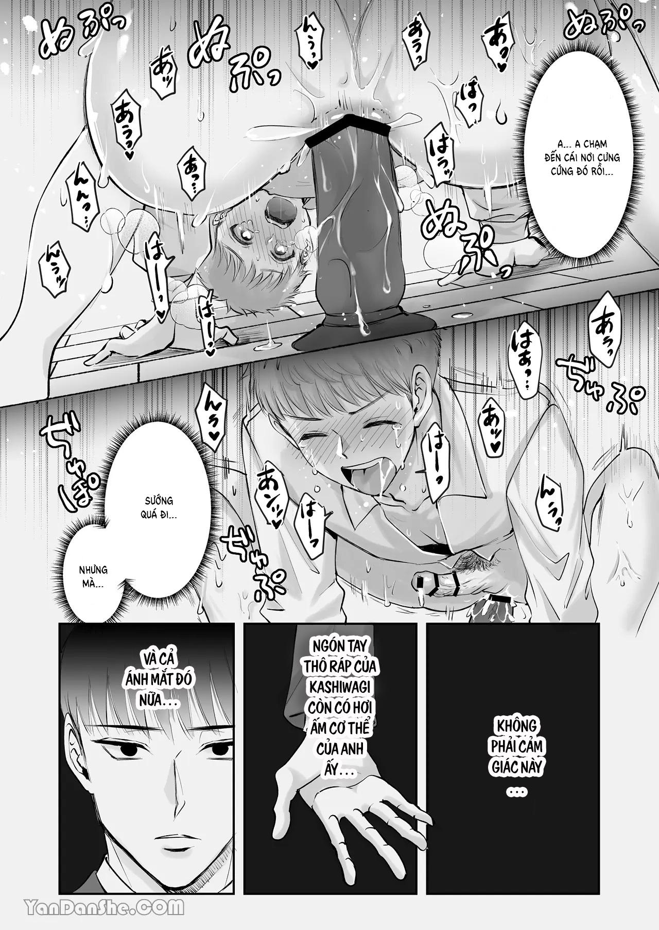 Đọc truyện Ở đây có yaoi hơi bị choáy - Chapter 264.1