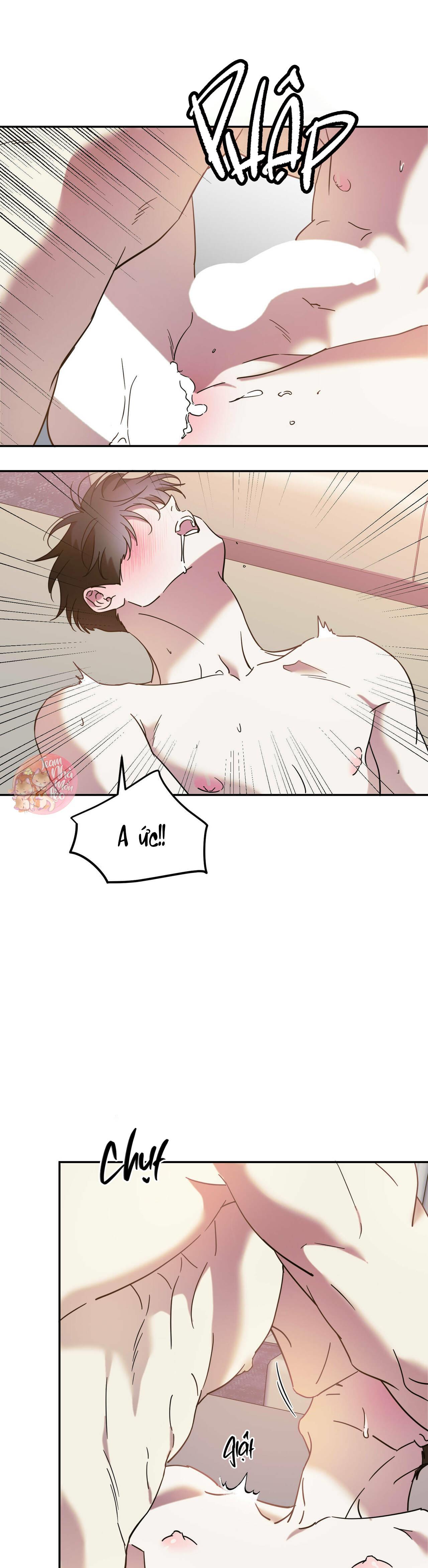 Đọc truyện Cấp Trên - Chapter 42