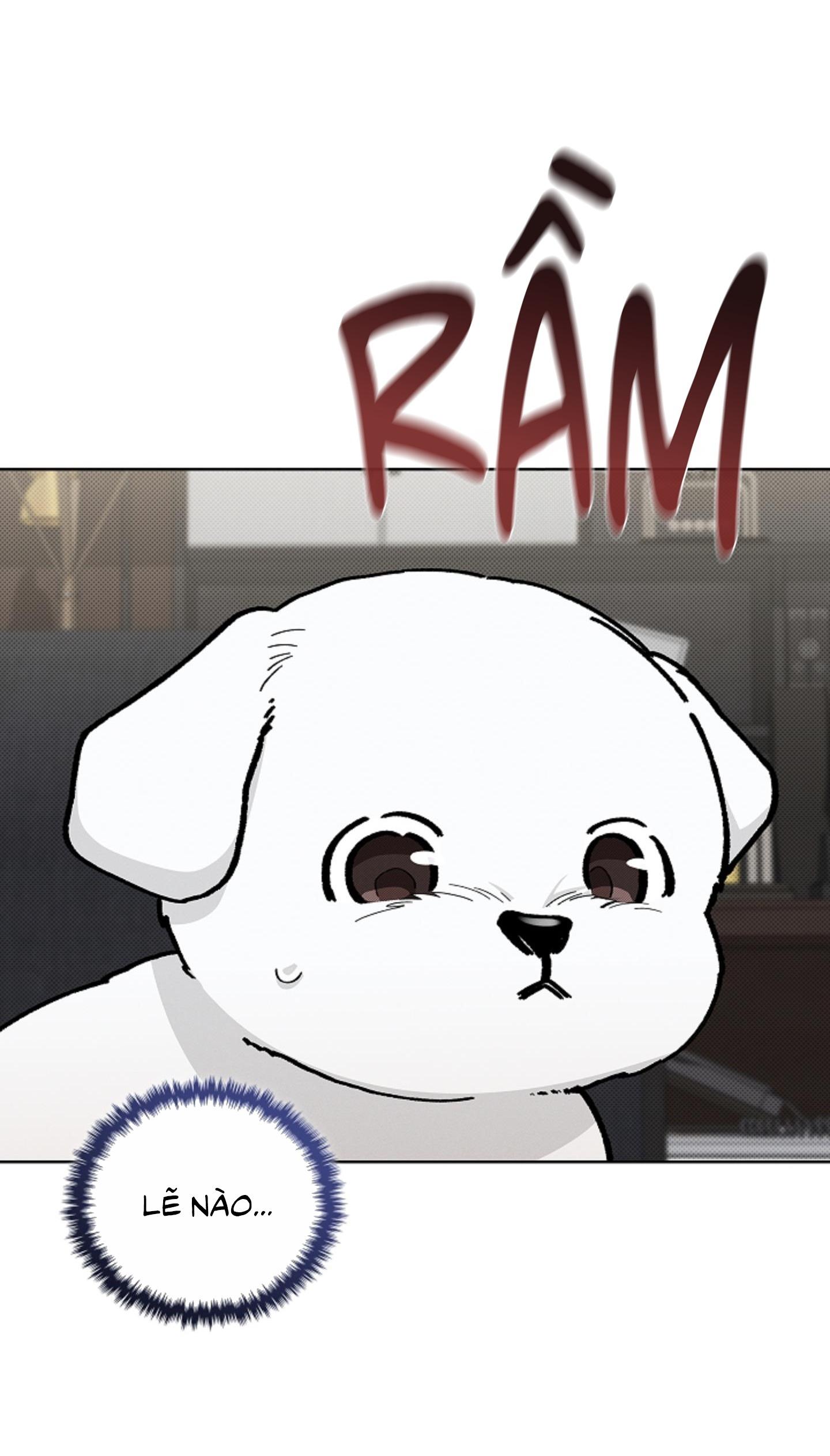 Đọc truyện ĐỪNG ĐỘNG VÀO CÚN CON! - Chapter 8