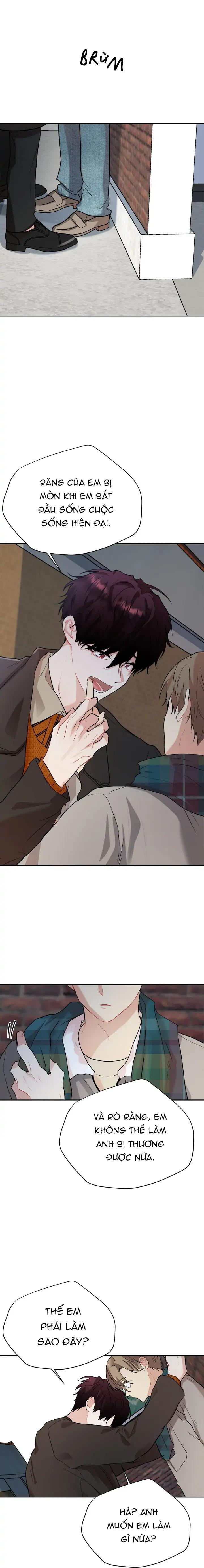 Đọc truyện (END) Nếu Như Cậu Bạn Hàng Xóm Là Vampire? - Chapter 55