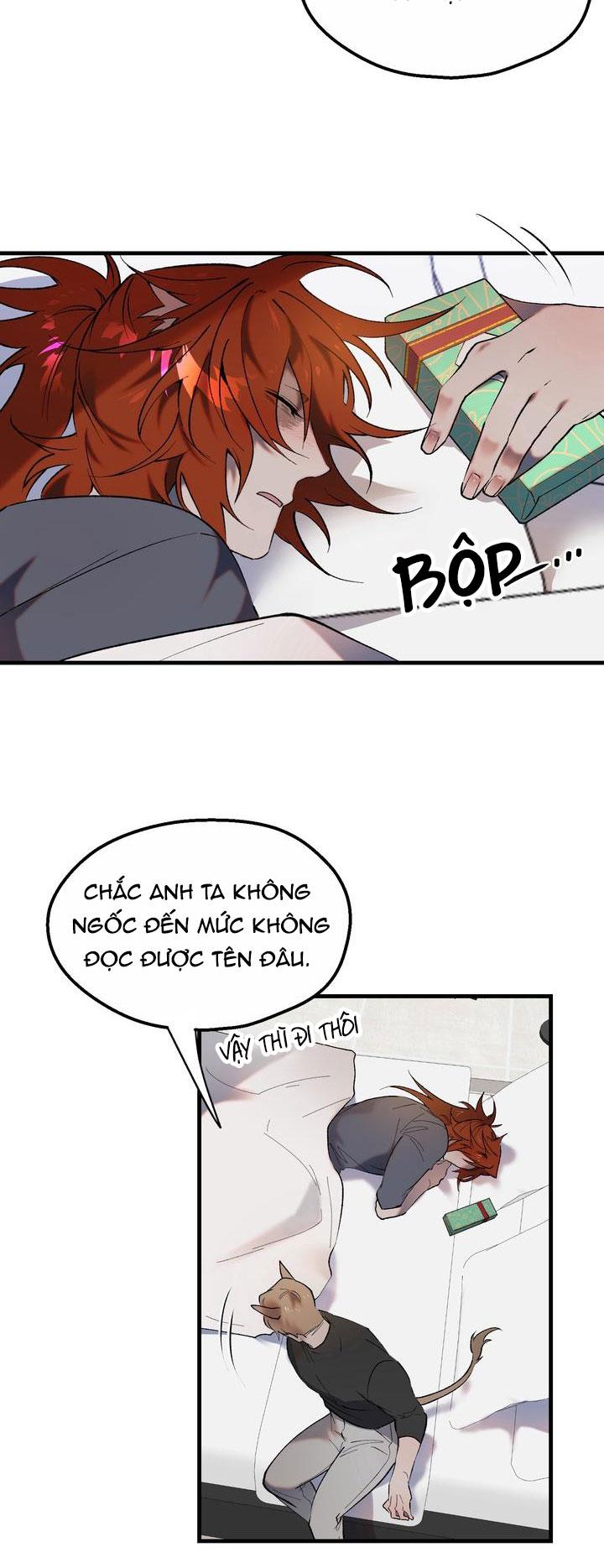 Đọc truyện BA ANH EM HEO CON - Chapter 11