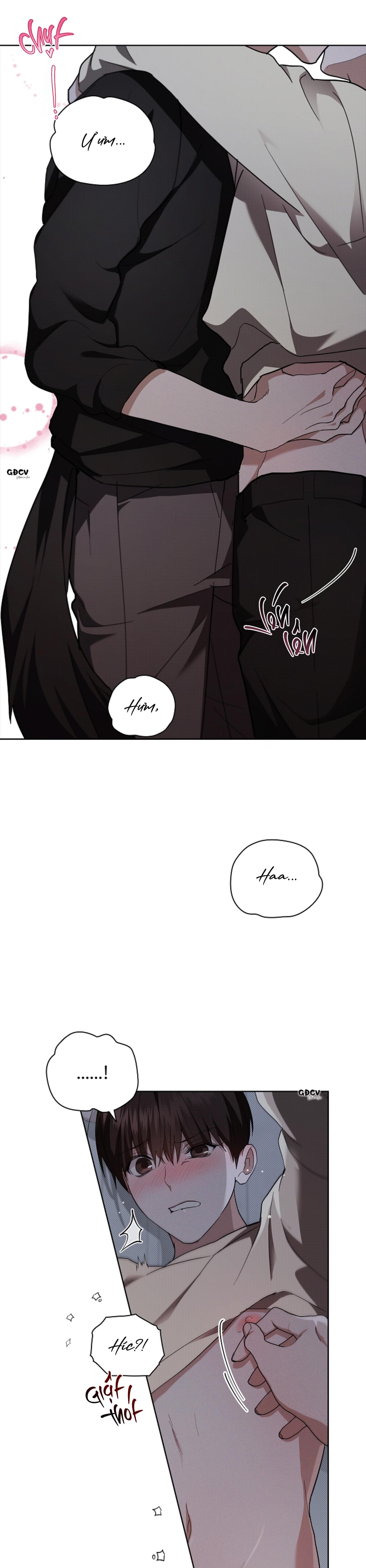 Đọc truyện ĐỪNG CHẠM VÀO CÚN CON CỦA TÔI - Chapter 24