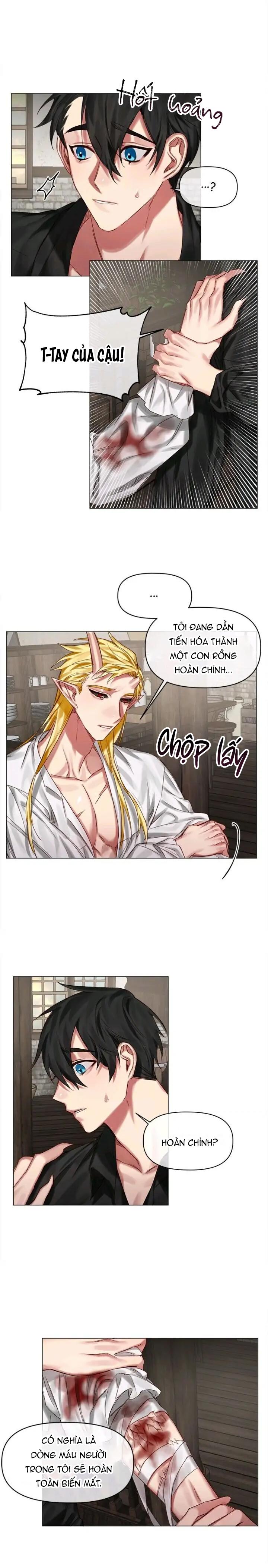 Đọc truyện [Hoàn] Chàng Hiệp Sĩ Và Rồng Vàng - Chapter 23