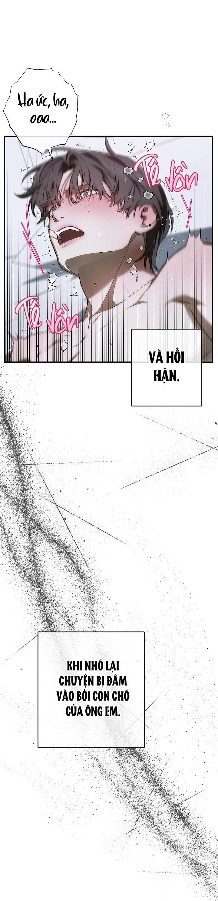 Đọc truyện BẢO VẬT - Chapter 24