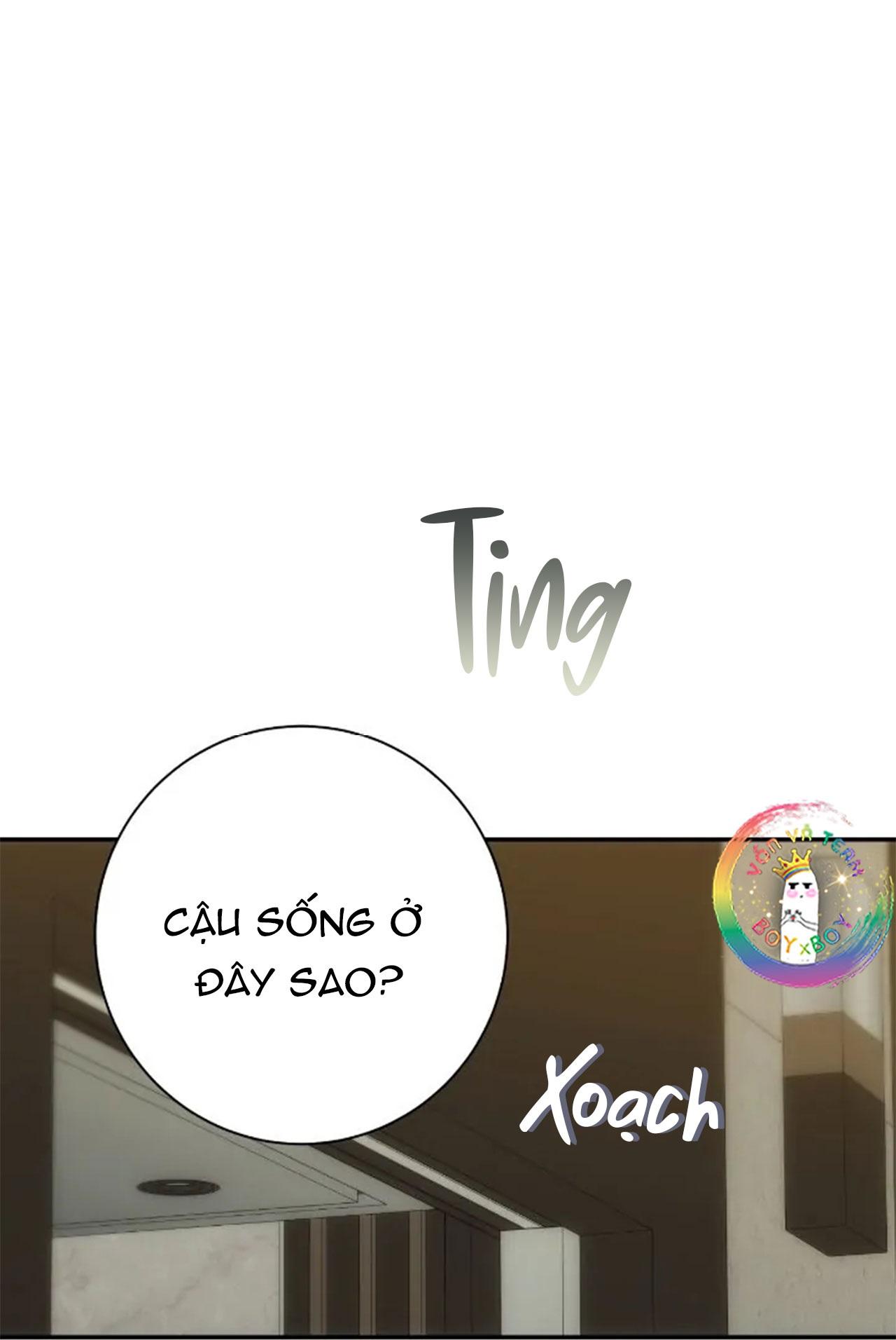 Đọc truyện Chìm Trong Rung Cảm - Chapter 15