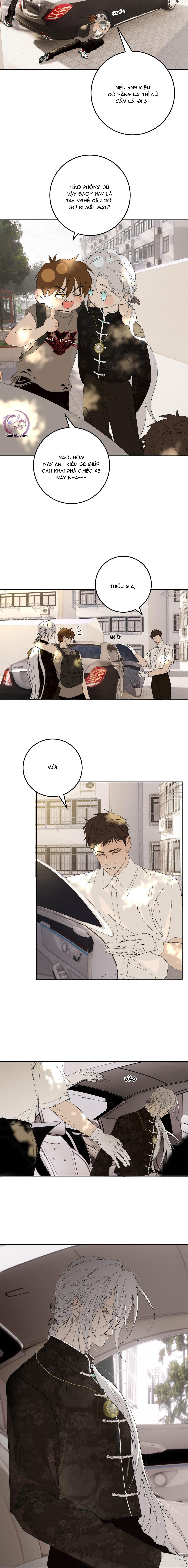 Đọc truyện Mỗi Ngày Đều Muốn Làm Hoàng Tử Ốm Yếu Đội Quần - Chapter 12