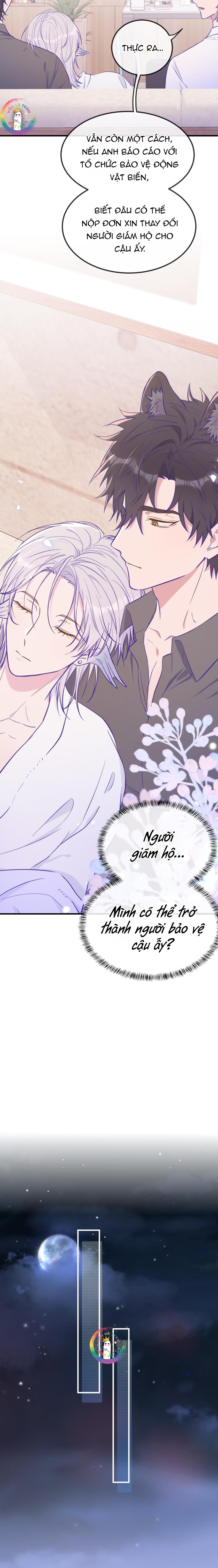 Đọc truyện Cún Con Nói Dối Sẽ Bị Ăn Thịt - Chapter 17