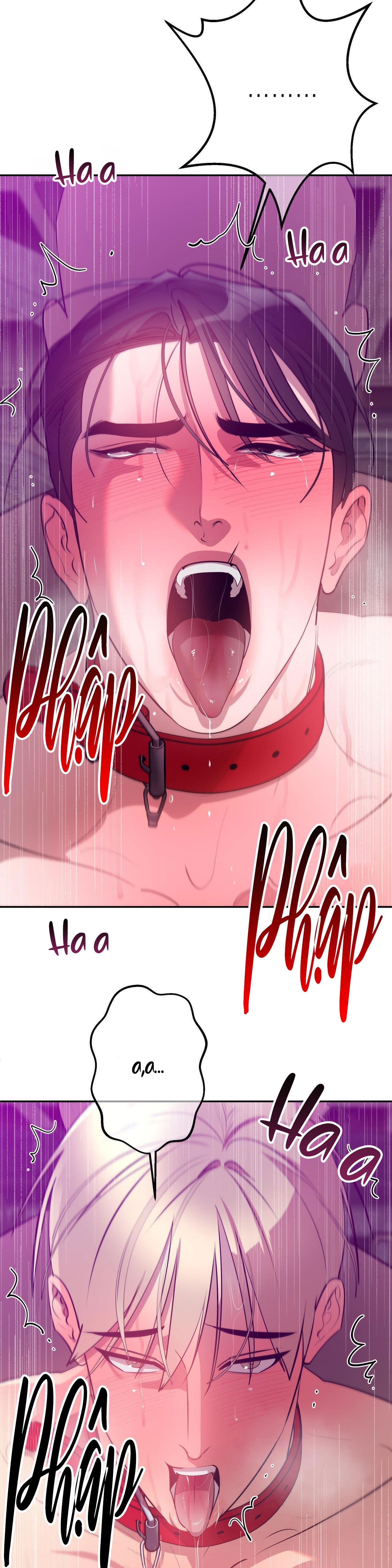 Đọc truyện CÂU LẠC BỘ BÍ MẬT - Chapter 1.6